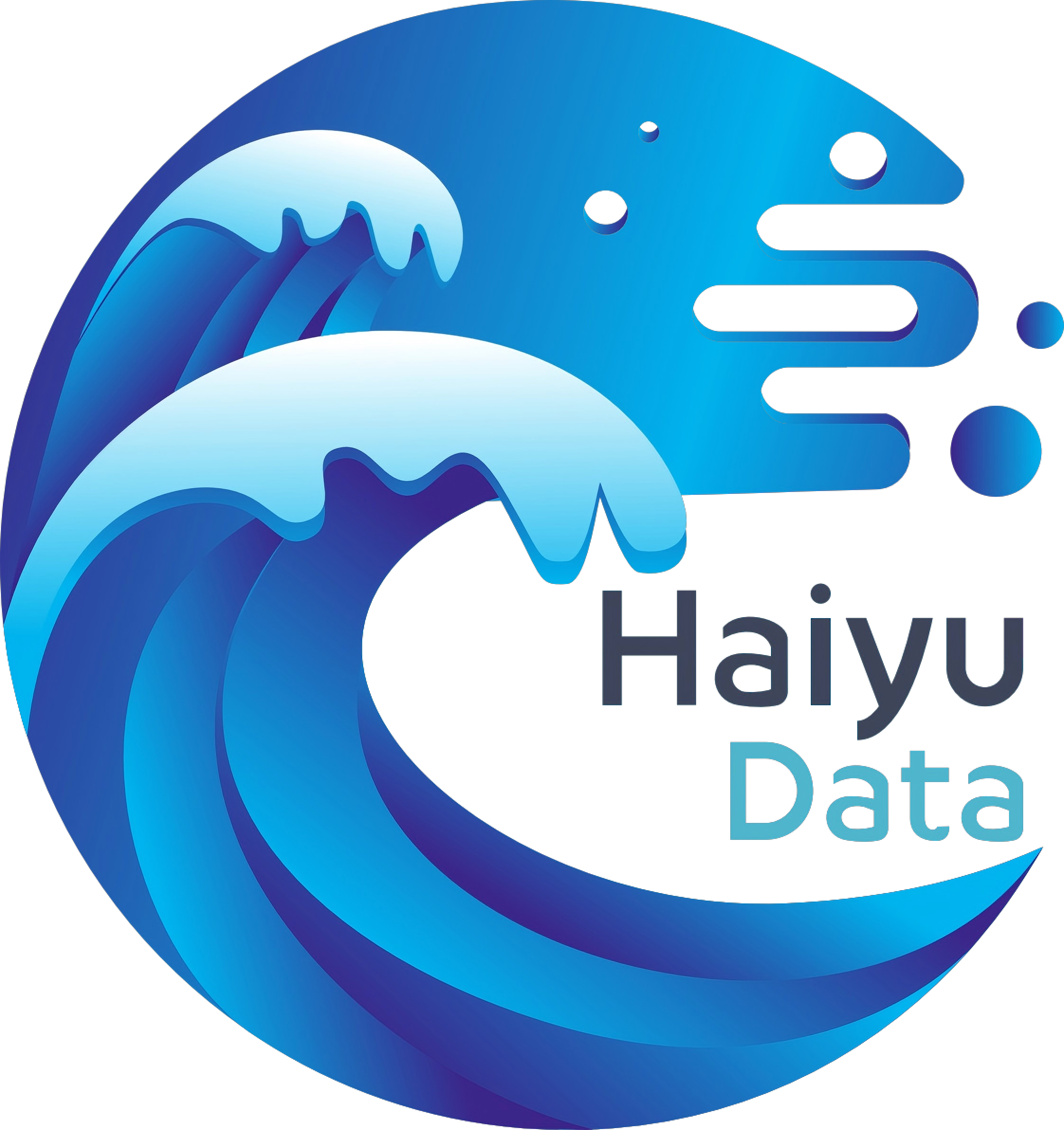 海宇数据 Logo